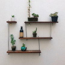 Plants on an array of shelves